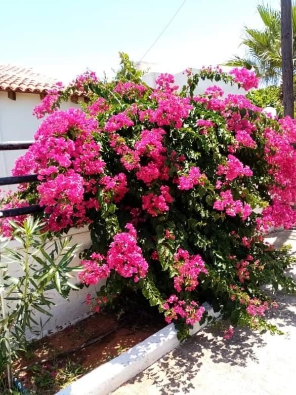 Evas House 7 Mins Walk To Beach Villa Stavrós Екстериор снимка